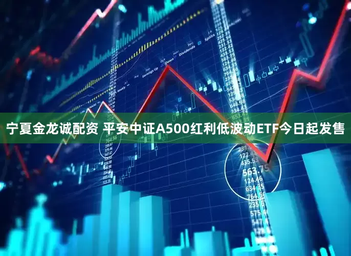 宁夏金龙诚配资 平安中证A500红利低波动ETF今日起发售